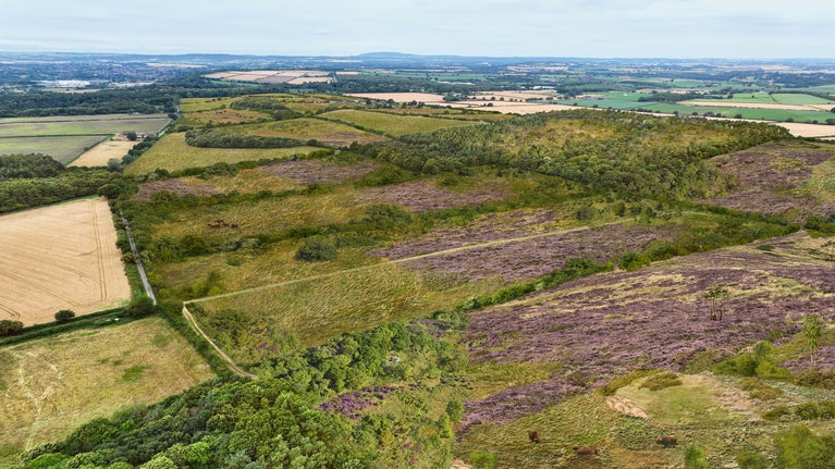 A visualisation of Mose Farm on the Dudmaston Estate in Shropshire